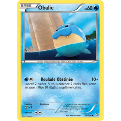 Obalie DRX - 029/124