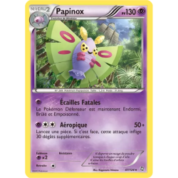 Papinox DRX - 047/124