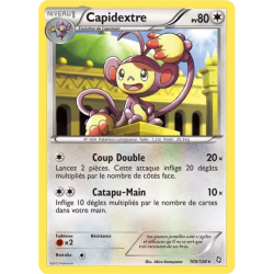 Capidextre DRX - 100/124