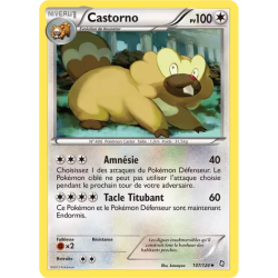 Castorno DRX - 107/124