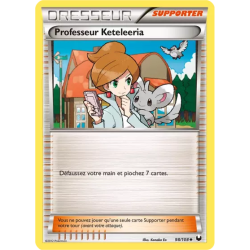 Professeur Keteleeria DEX - 098/108