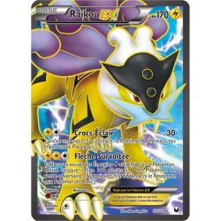 Raikou EX DEX - 105/108