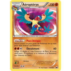 Aéroptéryx DEX - 110/108