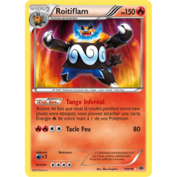 Roitiflam NXD - 100/99