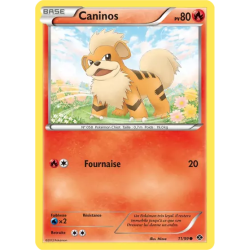 Caninos NXD - 11/99