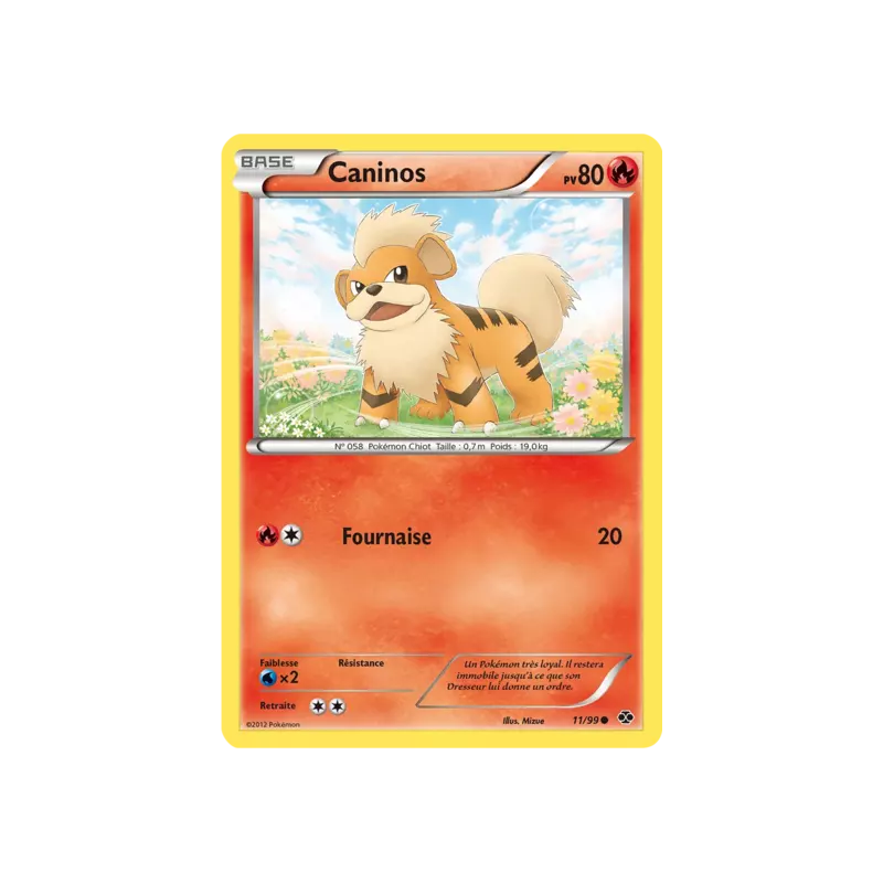 Caninos NXD - 11/99