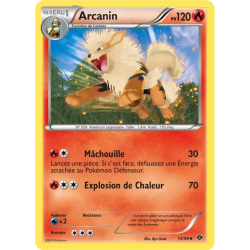Arcanin NXD - 13/99