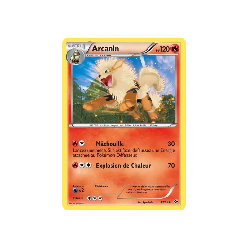 Arcanin NXD - 13/99