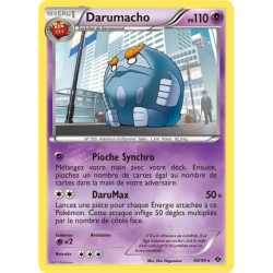 Darumacho NXD - 60/99