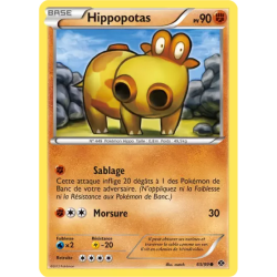 Hippopotas NXD - 65/99