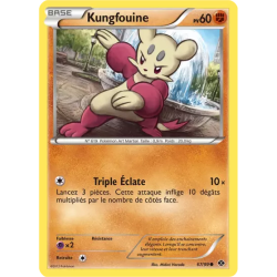 Kungfouine NXD - 67/99