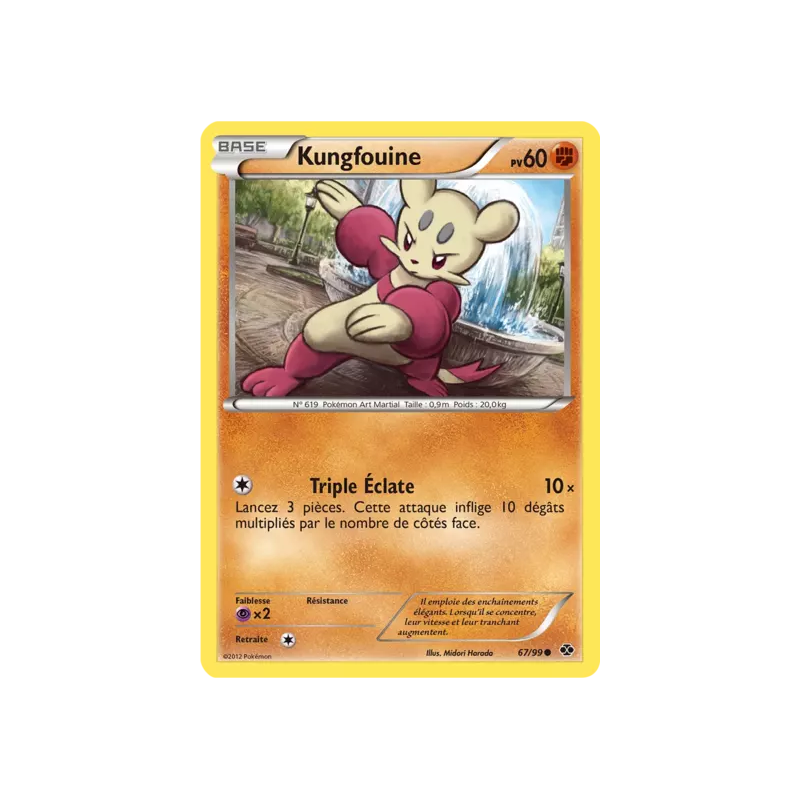 Kungfouine NXD - 67/99