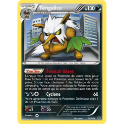 Tengalice NXD - 72/99