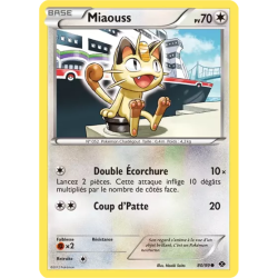 Miaouss NXD - 80/99