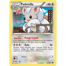 Pashmilla NXD - 85/99