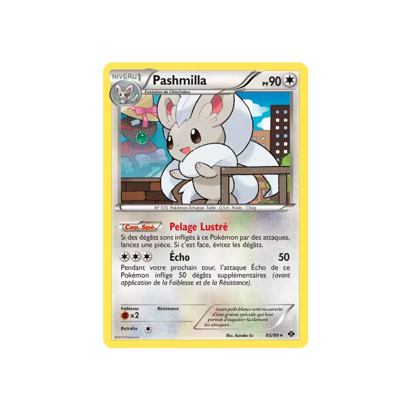 Pashmilla NXD - 85/99