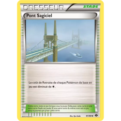 Pont Sagiciel NXD - 91/99