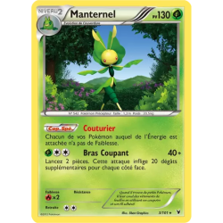 Manternel NVI - 003/101