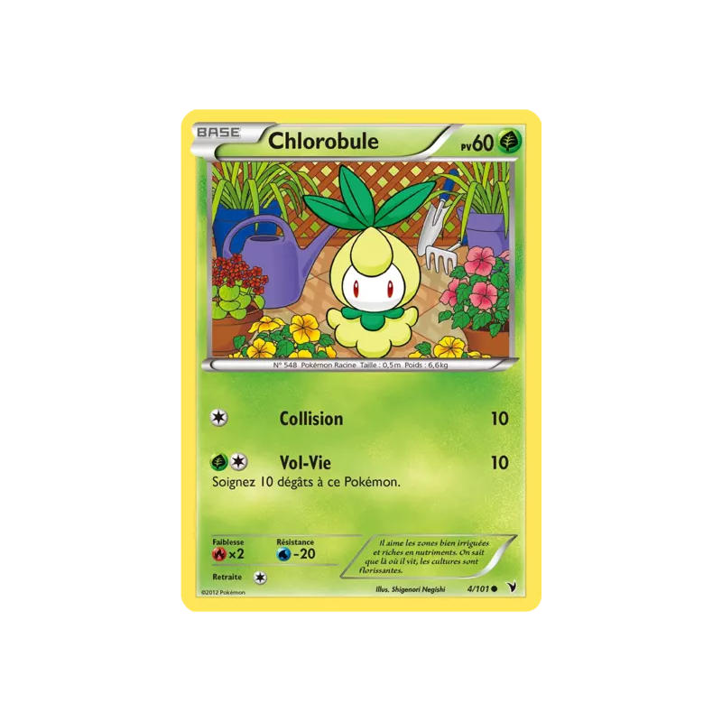 Chlorobule NVI - 004/101