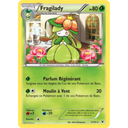 Fragilady NVI - 005/101