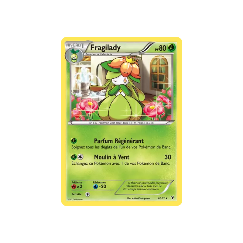 Fragilady NVI - 005/101