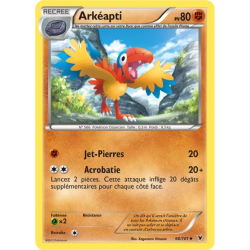 Arkéapti NVI - 066/101
