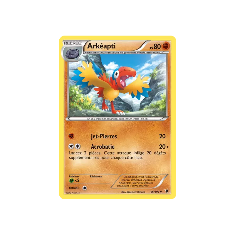 Arkéapti NVI - 066/101