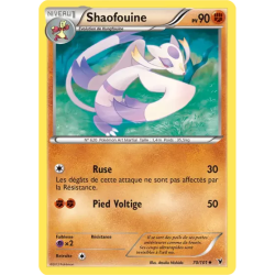 Shaofouine NVI - 070/101