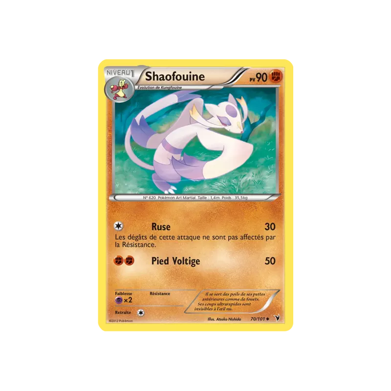 Shaofouine NVI - 070/101