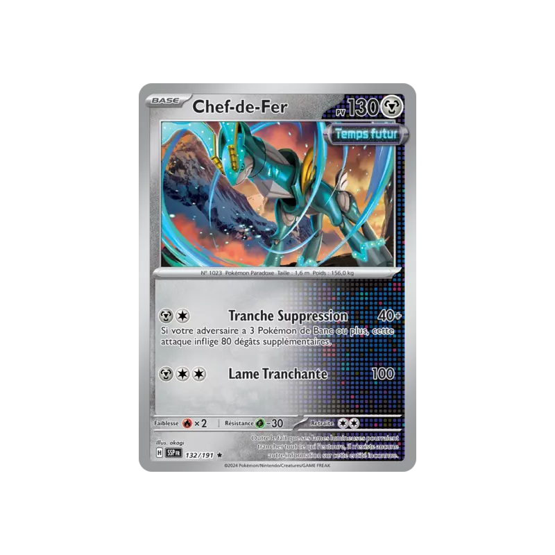 Chef-de-Fer SSP - 132/191