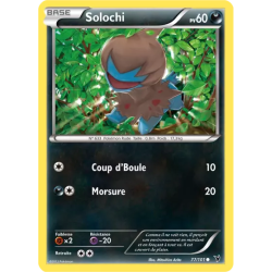Solochi NVI - 077/101