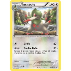 Incisache NVI - 087/101