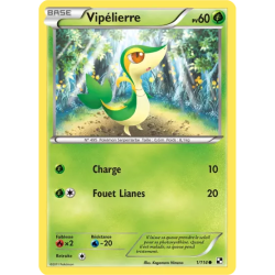 Vipélierre BLW - 001/114