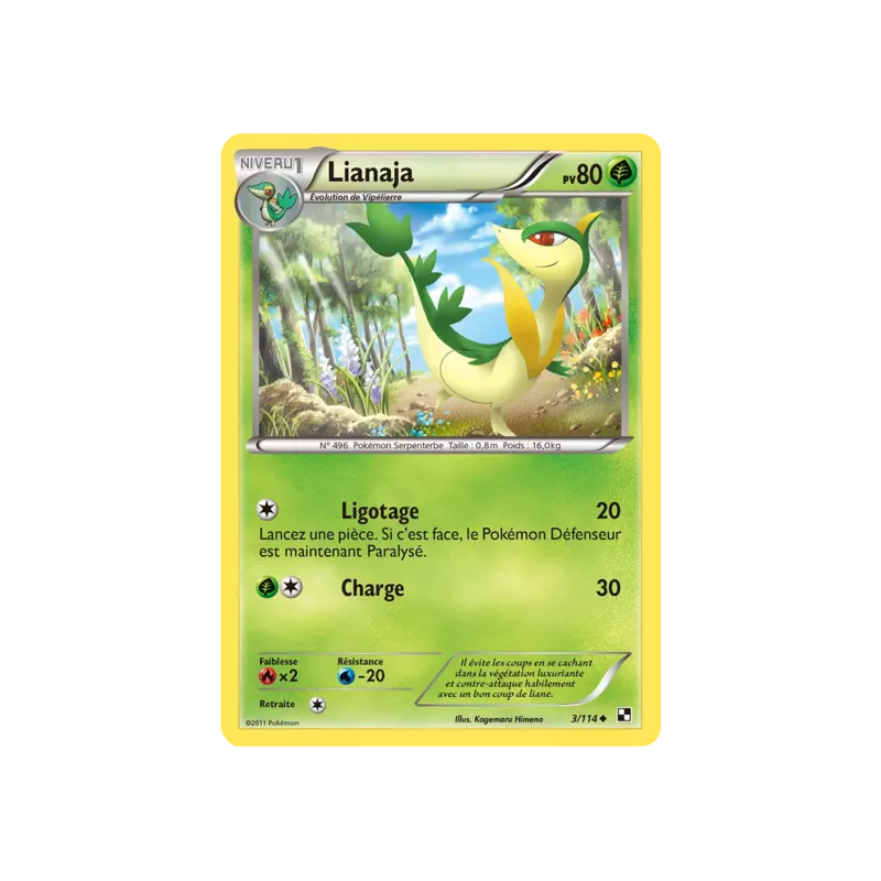 Lianaja BLW - 003/114