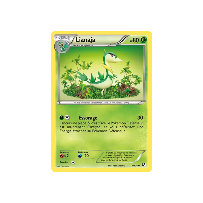 Lianaja BLW - 004/114