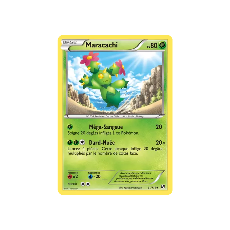 Maracachi BLW - 011/114