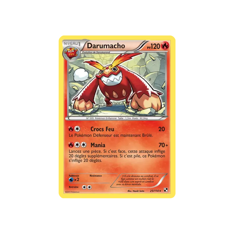 Darumacho BLW - 025/114