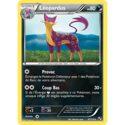 Léopardus BLW - 067/114