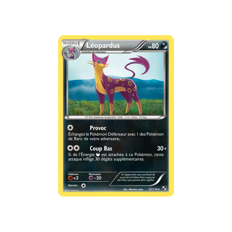 Léopardus BLW - 067/114