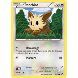 Ponchiot BLW - 080/114
