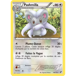 Pashmilla BLW - 089/114