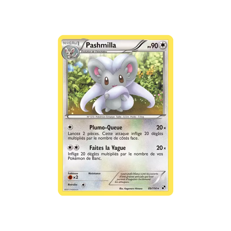 Pashmilla BLW - 089/114