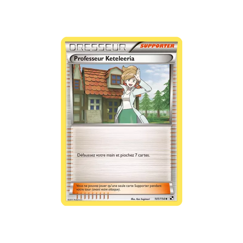 Professeur Keteleeria BLW - 101/114