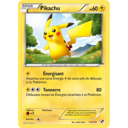Pikachu BLW - 115/114