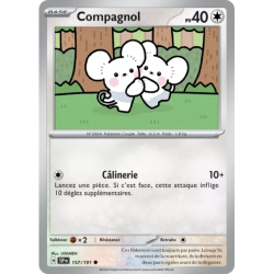 Compagnol SSP - 157/191