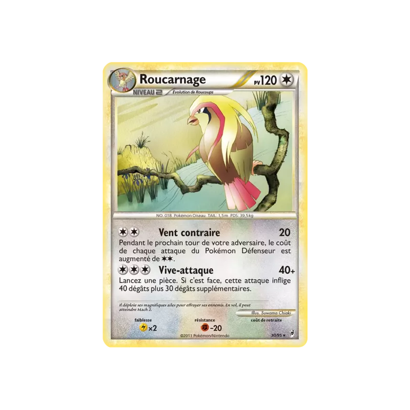 Roucarnage CL - 30/95