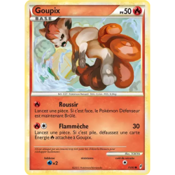 Goupix CL - 75/95
