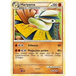 Hariyama UD - 14/90