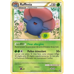 Rafflesia UD - 24/90