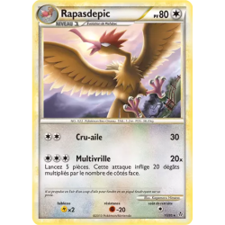 Rapasdepic UL - 15/95